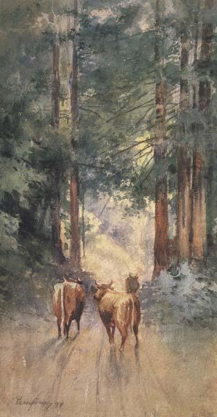 Cows in a Redwood Glade (mk42), Percy Gray